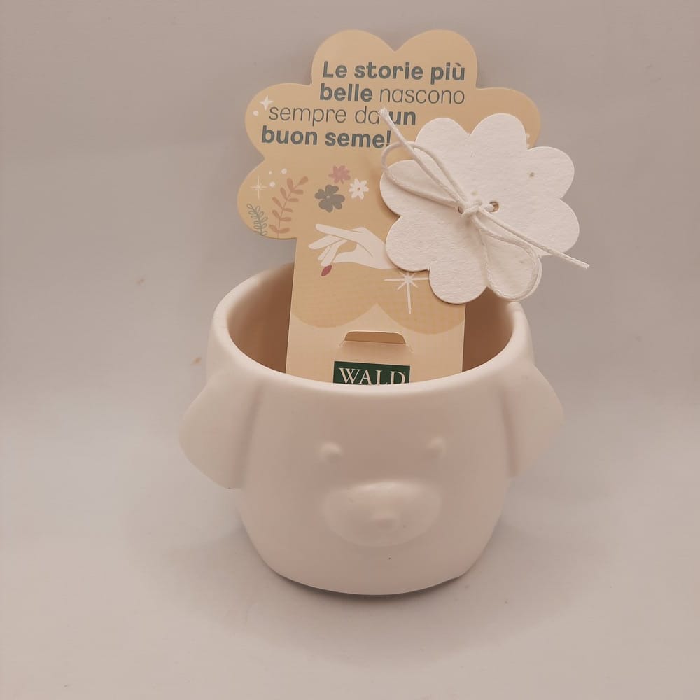 Cagnolino seminiamo
