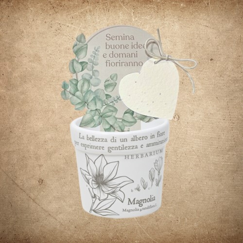 Cache Pot Magnolia 2