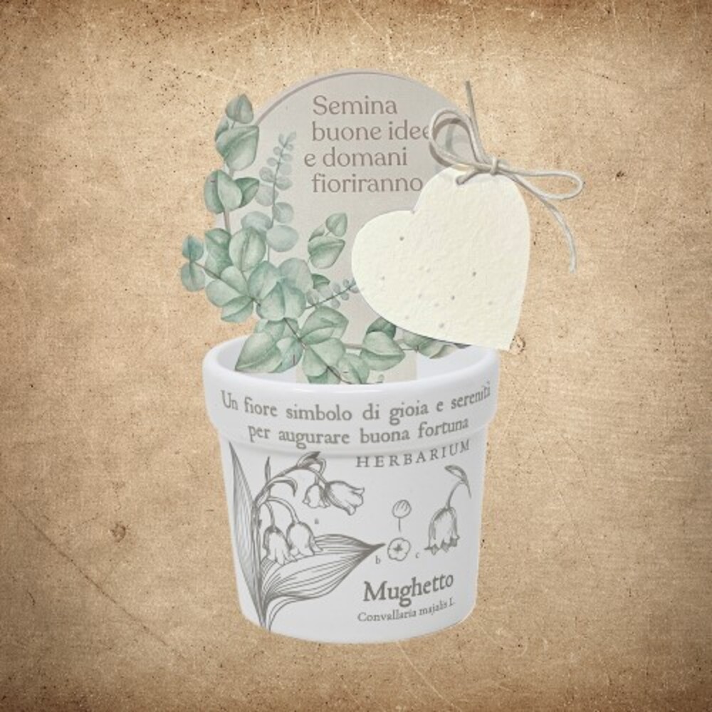 Cache Pot Mughetto 2