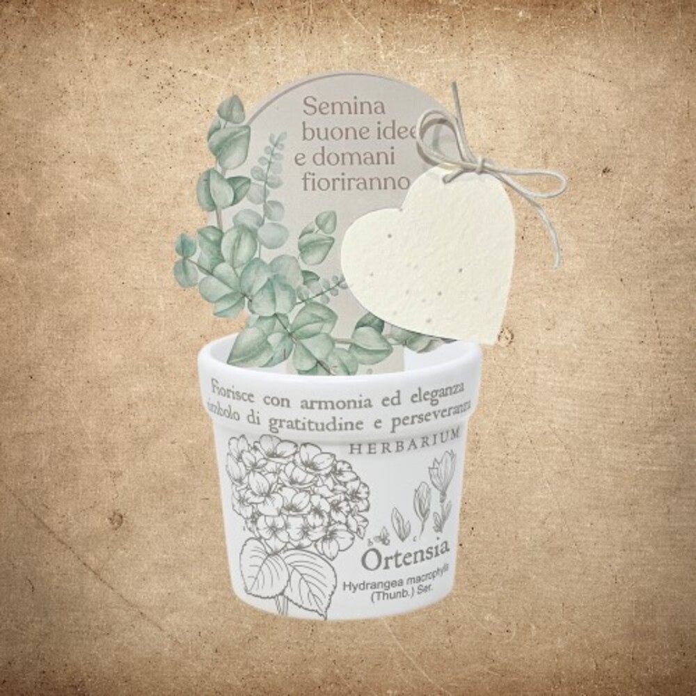 Cache Pot Ortensia 2